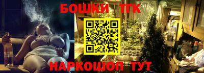 индика Волжский
