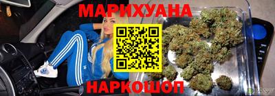 сатива Абакан