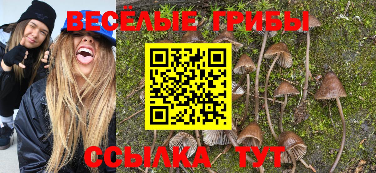 Псилоцибиновые грибы Magic Shrooms  хочу наркоту  Зима 
