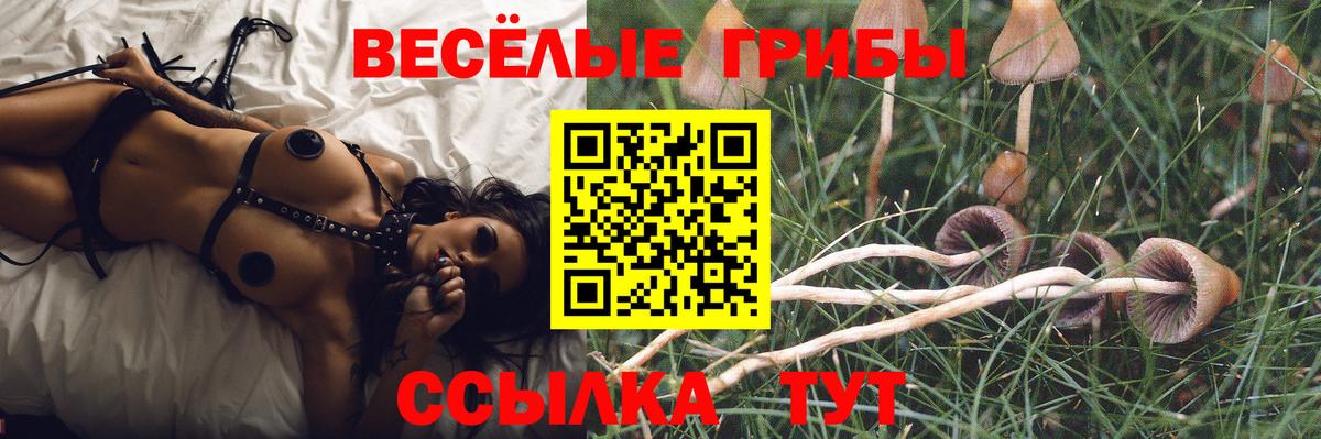 Галлюциногенные грибы GOLDEN TEACHER Зима