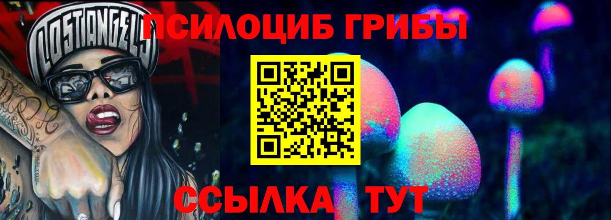 Псилоцибиновые грибы Cubensis Зима