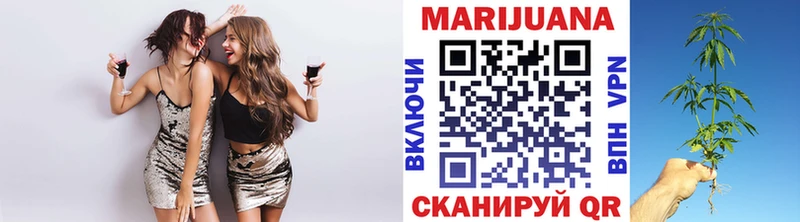 Канабис White Widow  где найти наркотики  Зима 